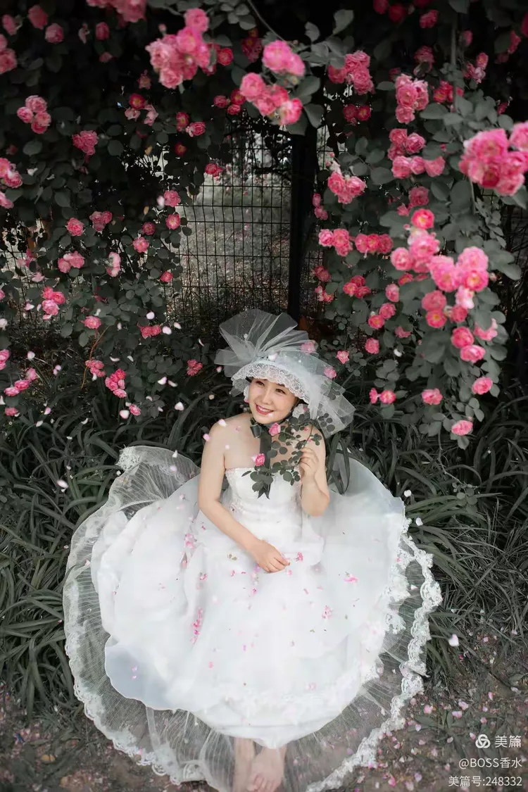 梦境花语,解读梦中蔷薇绽放的奥秘 梦境花语,解读梦中蔷薇绽放的奥秘